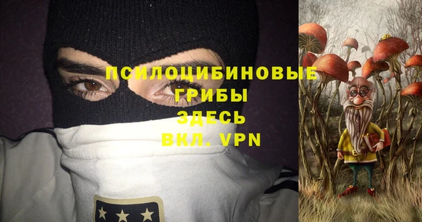 apvp Зеленодольск