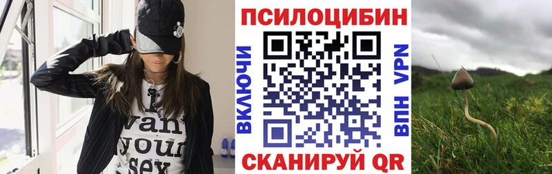 Купить  Западная Двина  Галлюциногенные грибы Psilocybine cubensis 